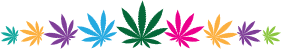 Colored cannabis leaves graphic