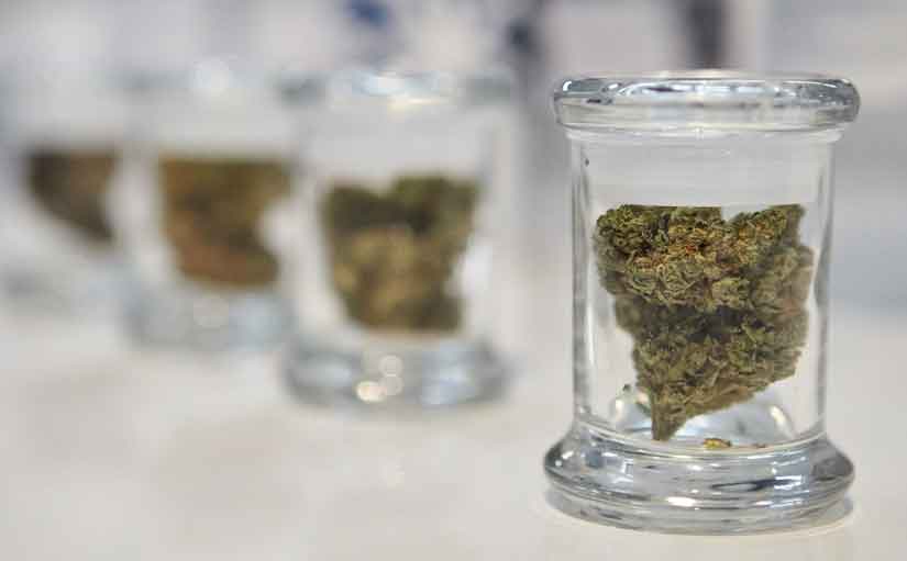Missouri's Cannabis Future