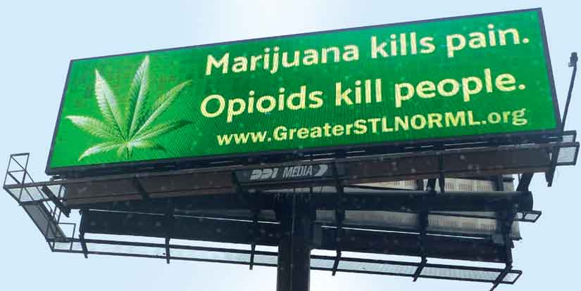 Opiates kill people. Marijuana kills pain. Billboard launched