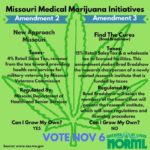 Yes on Initiative 2 information graphic for medical marijuana in Missouri