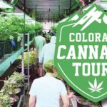 Free Colorado Cannabis Tours Trip Giveaway