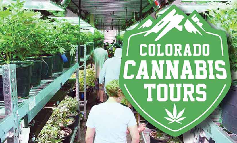 Win A Colorado Cannabis Tours’ Trip To Denver – Greaterstlnorml