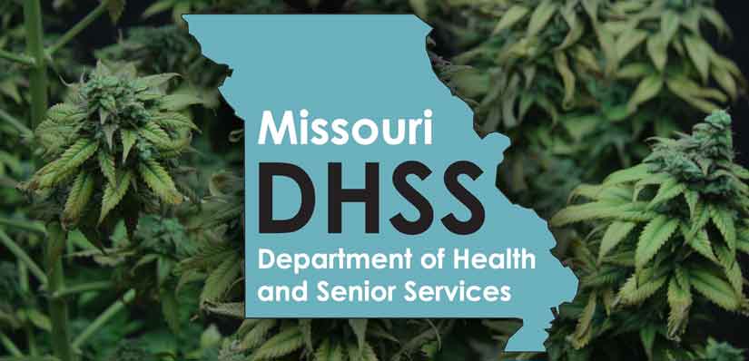 DHSS Medical Marijuana timeline
